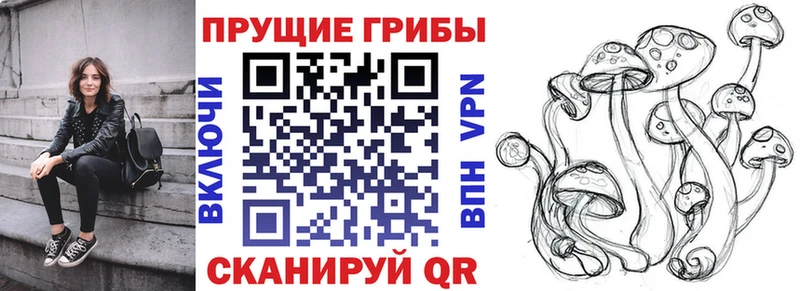 Псилоцибиновые грибы Psilocybine cubensis  Гулькевичи 